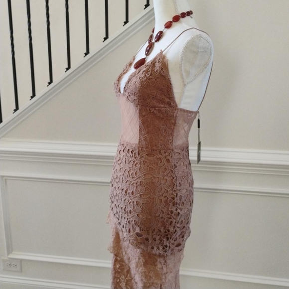 JLUXLABEL Lace Dress in Tan - Picture 11 of 13